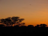 Namibia, Hochzeit, Reise, Bilder, Fotos - img_6944.jpg